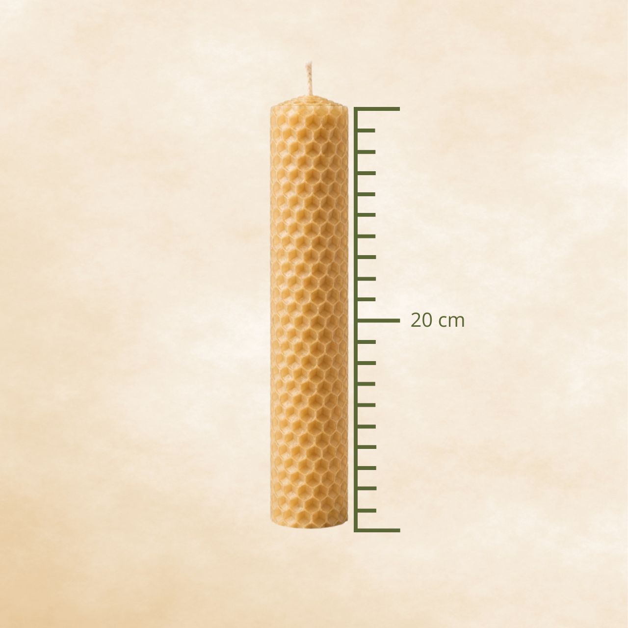 Hive Bee - Cor Natural da Cera - foto 3